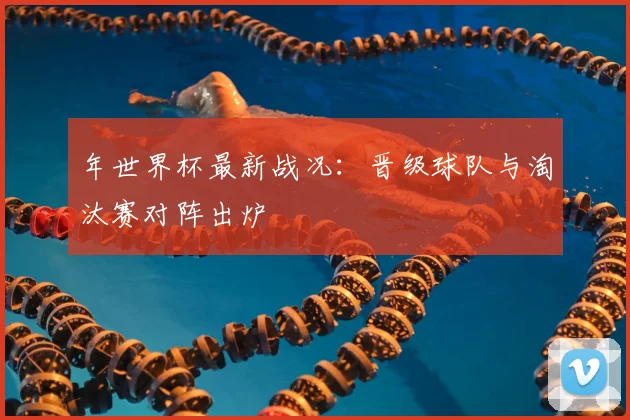 年世界杯最新战况：晋级球队与淘汰赛对阵出炉